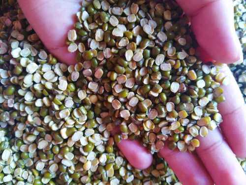 Green Lentil - Small Split Pulses, Round Shape, Low Moisture, Bulk Packaging | Premium Quality Indian Green Lentils