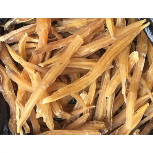 Yellow Shatavari Roots