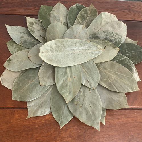 Fan Li Zhi Health Products Chinese Herb Annona Muricata Leaf