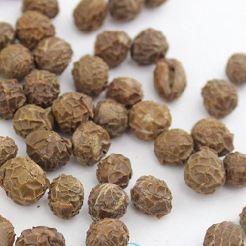 Wu Tong Zi Chinese Herb Medicine Firmiana Platanifolia Seeds