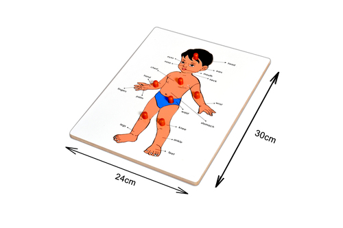 Kidken Part of Body Puzzle