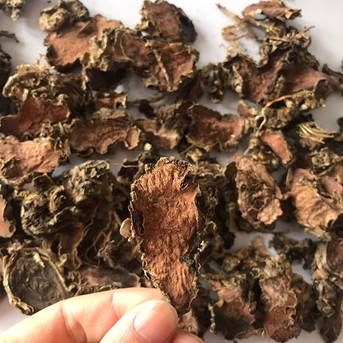 Hong Jing Tian Chinese Medicine Rhodiola Rosea Tea