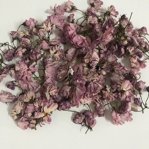 Wholesale Organic Dried Sakura Flower Cherry Blossom Tea