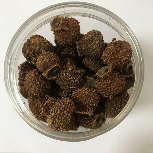 Ci Li Guo High Quality 100% Natural Fructus Rosae Roxburgniae