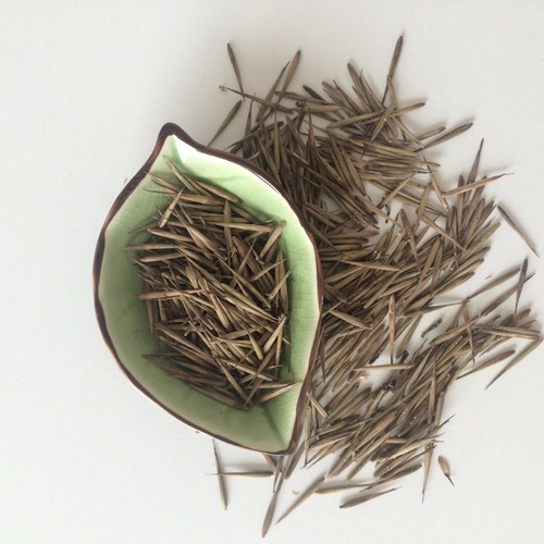 Gang zhu 200g per bag Free Samples Wholesale Golden Bamboo SeedsGang Zhu 200g Per Bag Free Samples Wholesale Golden Bamboo Seeds