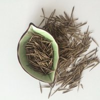 Gang Zhu 200g Per Bag Free Samples Wholesale Golden Bamboo Seedsgang Zhu 200g Per Bag Free Samples Wholesale Golden Bamboo Seeds