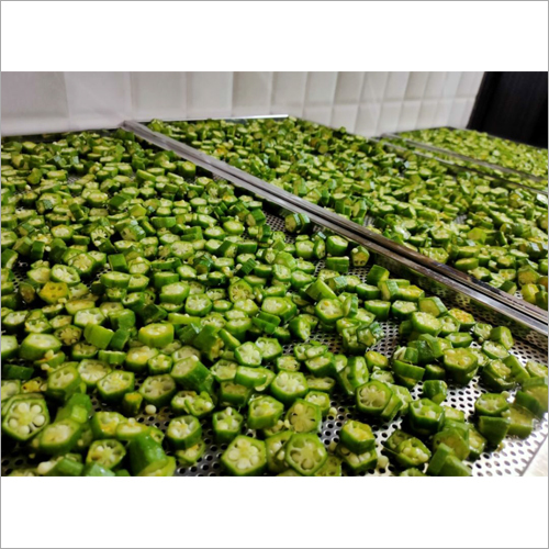 Vegetable Dehydrator 8 tray