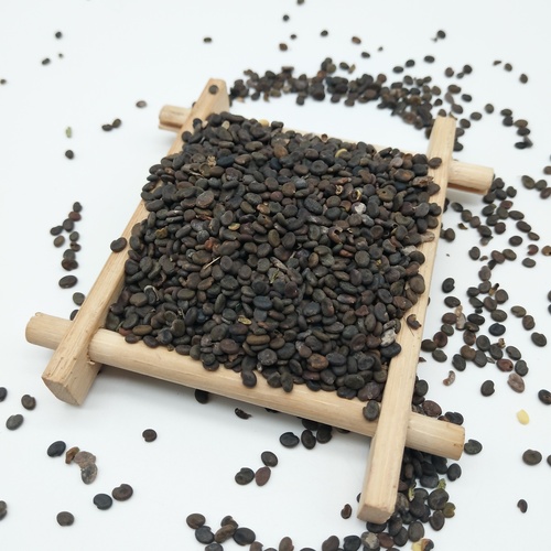 Huang qi Factory Supply Natural Astragalus Seeds