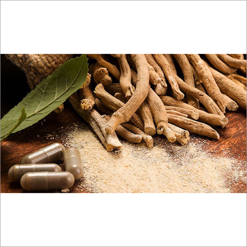 Ashwagandha Extract
