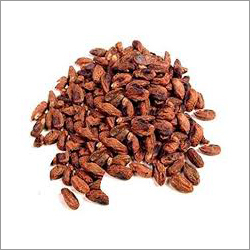 Neem Seed