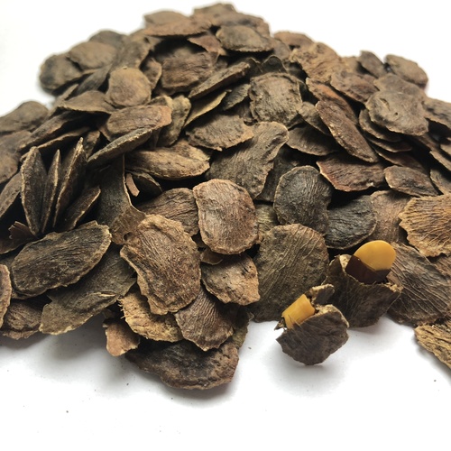 Hai Nan Dalbergia Odorifera Seeds For Planting