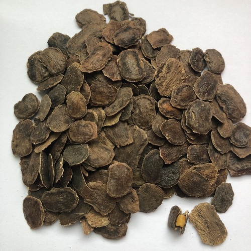 Supply Hai Nan Dalbergia Odorifera Seeds For Planting