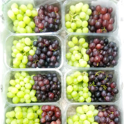 Organic Nashik Grapes