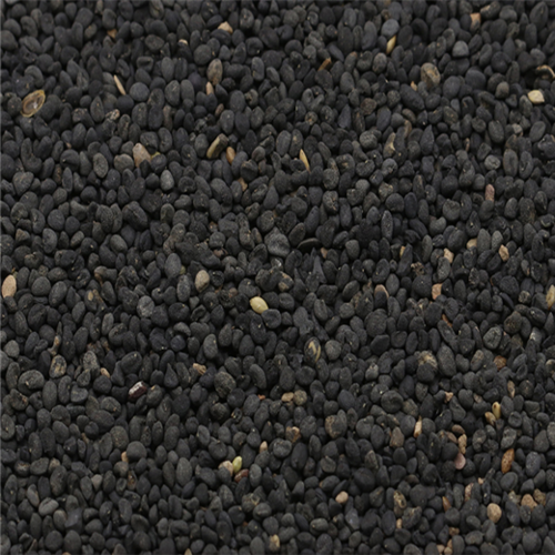 Huang Qin Whosale Best Price High Quality Scutellaria Baicalensis Seed