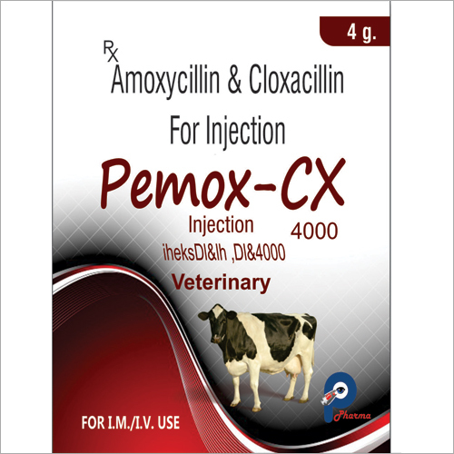 Amoxycillin And Cloxacillin For Injection