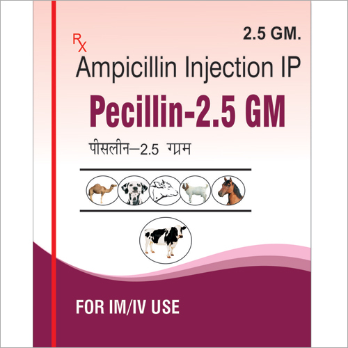 Ampicillin Injection IP