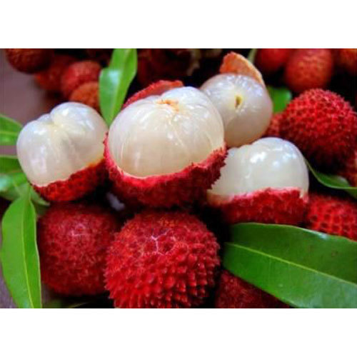 Fresh Litchi