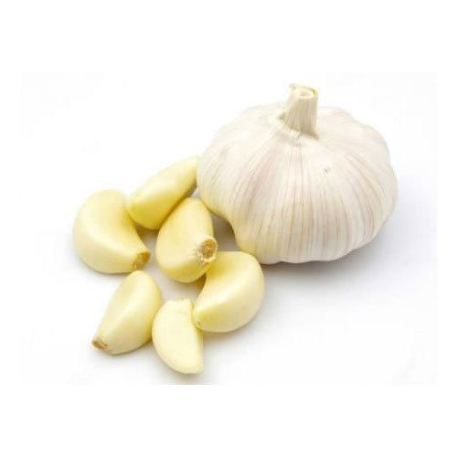 Fresh Garlic