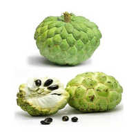 Fresh Custard Apple