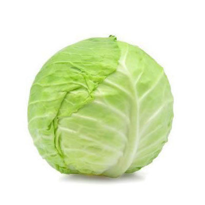 Fresh Cabbage