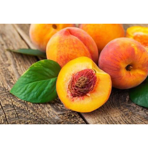 Fresh Apricots By KAYN TRADERS