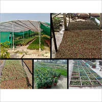 Plant Production Projects
