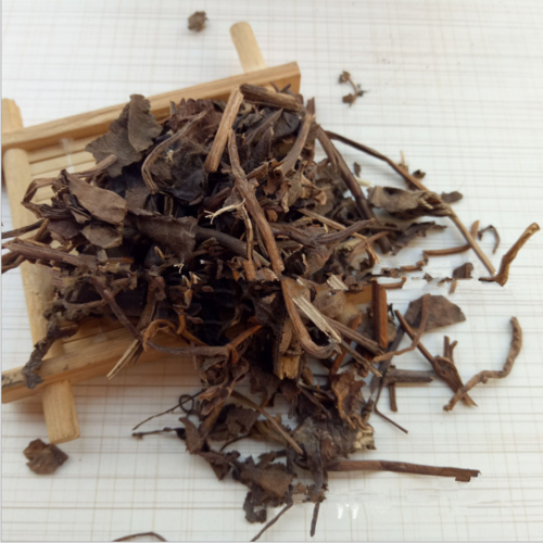 Shuweicao Best Quality With Competitive Price Sage