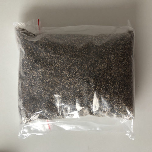 Juju Chinese Traditional Vegetable Chicory Seeds For Planting By CENTURY BUSINESS TECHNOLOGY CO., LTD.