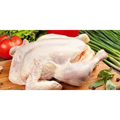 Fresh Chicken Meat
