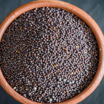 Mustard Seeds