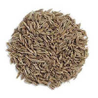 Organic Cumin Seeds