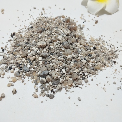Guangxi Tian Zhu Huang Chinese Herb Medicine Concretio Silicea Bambusae For Sale
