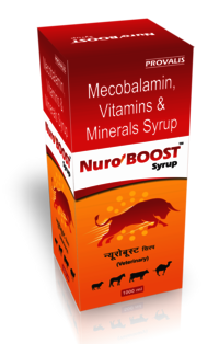 Nuroboost Syrup