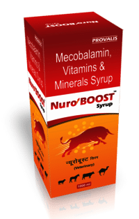 Nuro Boost Syrup