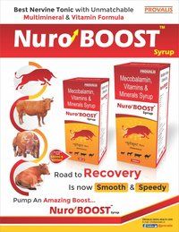 Nuro Boost Syrup