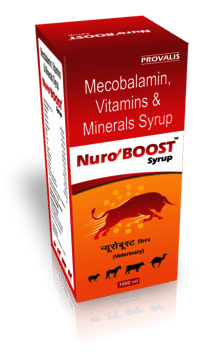 Nuro Boost Syrup