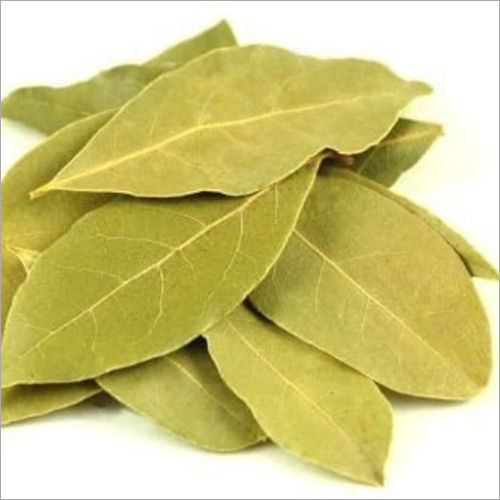 Tejpatta Leaf