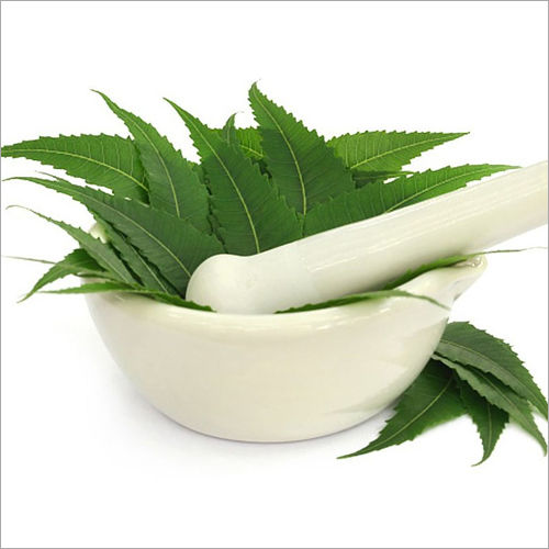 Neem Leaf