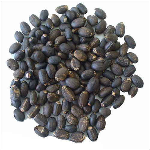 Ratanjot Seed