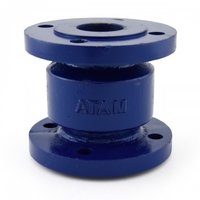 Cast Iron Vertical Check Valve