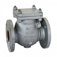 C.C.S. Swing Check Valve, Class- 150