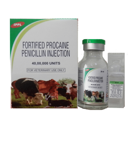 Fortified Procaine Penicillin Injection Use: Bacterial Infection