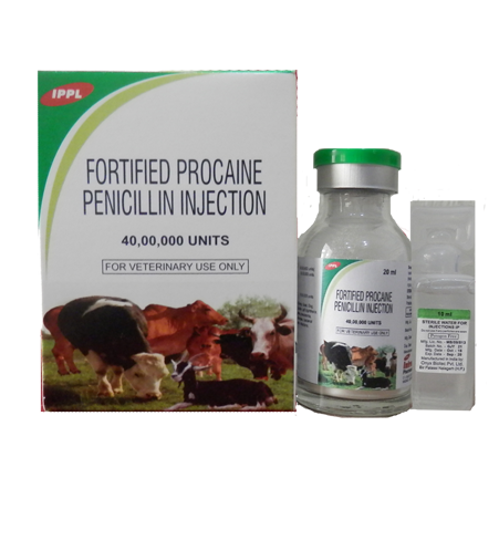 Fortified Procaine Penicillin Injection
