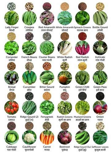 Organic Fresh Vegetable Seeds