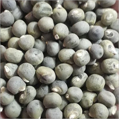 Organic Hybrid Vegetable Seeds