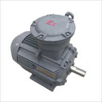 Synchronous Electric Motor
