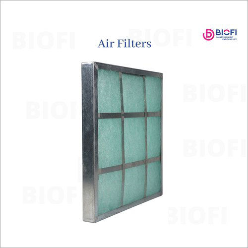 BIOFI31 Air Filter 