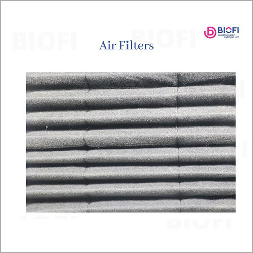 BIOFI111 Air Filter