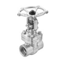 Forged Stainless Steel Gate Valve