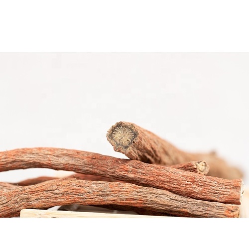 Drotrong Hot Selling Herbal Medicine Salvia Miltiorrhiza Bge. Red Sage